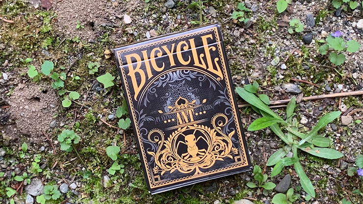 Gilded Bicycle Ant, Black Playing Cards